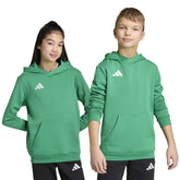 Felpa Ragazzo Adidas Entrada26 Verde Bianco | NonSoloSport