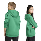 Felpa Ragazzo Adidas Entrada26 Verde Bianco | NonSoloSport