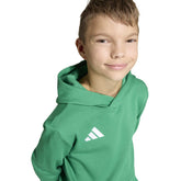 Felpa Ragazzo Adidas Entrada26 Verde Bianco | NonSoloSport