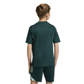 Maglia Ragazzo Adidas Allenamento Tiro 25 Competition Junior Arsenal FC Verde | NonSoloSport