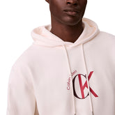Felpa Uomo Calvin Klein French Terry Graphic Beige | NonSoloSport