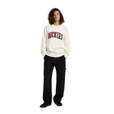 Felpa Uomo Dickies Aitkin Beige | NonSoloSport