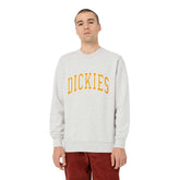 Felpa Uomo Dickies Fleece Aitkin Grigio | NonSoloSport