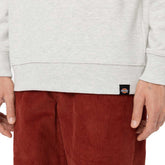 Felpa Uomo Dickies Fleece Aitkin Grigio | NonSoloSport