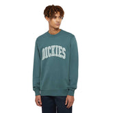Felpa Uomo Dickies Aitkin Verde Petrolio | NonSoloSport