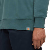 Felpa Uomo Dickies Aitkin Verde Petrolio | NonSoloSport