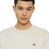 Felpa Uomo Dickies Oakport Grigio | NonSoloSport