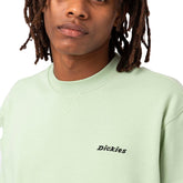 Dickies Felpa Girocollo Loretto Uomo Verde | NonSoloSport