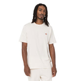 T-Shirt Uomo Dickies Mapleton Grigio | NonSoloSport