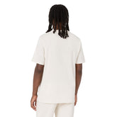 T-Shirt Uomo Dickies Mapleton Grigio | NonSoloSport