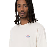T-Shirt Uomo Dickies Mapleton Grigio | NonSoloSport