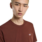 T-Shirt Uomo Dickies Mapleton Marrone | NonSoloSport