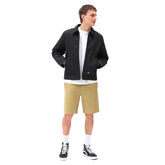 Dickies Shorts Cobden Uomo Beige | NonSoloSport