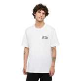 T-Shirt Uomo Dickies Aitkin Bianco | NonSoloSport