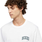 T-Shirt Uomo Dickies Aitkin Bianco | NonSoloSport