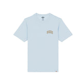 T-Shirt Uomo Dickies Aitkin Azzurro | NonSoloSport