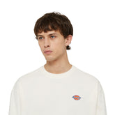 Felpa Uomo Dickies Millersburg Beige | NonSoloSport