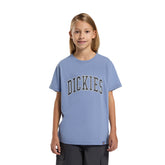 T-Shirt Bambino Dickies Aitkin Azzurro | NonSoloSport