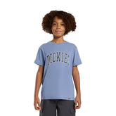 T-Shirt Bambino Dickies Aitkin Azzurro | NonSoloSport