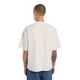 T-Shirt Uomo Dickies Lewistown Beige | NonSoloSport