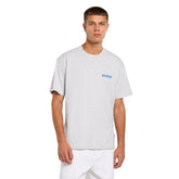 T-Shirt Uomo Dickies Dry Ridge Grigio | NonSoloSport