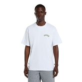 T-Shirt Uomo Dickies Bettsville Bianco | NonSoloSport
