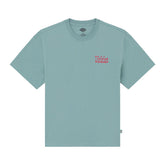 T-Shirt Uomo Dickies Polk Azzurro | NonSoloSport