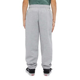 Pantaloni Bambino Dickies Mapleton Grigio | NonSoloSport