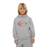 Felpa Bambino Dickies Icon Logo Grigio | NonSoloSport