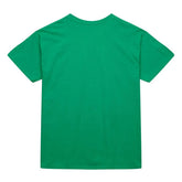 T-Shirt Uomo Mitchell & Ness Stateside Pastel Boston Celtics Verde | NonSoloSport