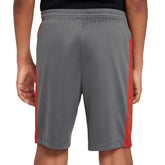 Shorts Calcio Bambino Nike Dri-FIT Academy23 Grigio | NonSoloSport
