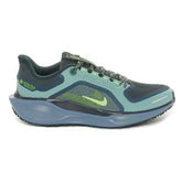 Scarpa da Running Uomo Nike Pegasus 41 Gore-Tex Nero Verde | NonSoloSport