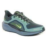 Scarpa da Running Uomo Nike Pegasus 41 Gore-Tex Nero Verde | NonSoloSport