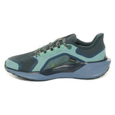 Scarpa da Running Uomo Nike Pegasus 41 Gore-Tex Nero Verde | NonSoloSport