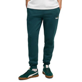 Pantalone Jogger Uomo Puma Essentials Verde | NonSoloSport