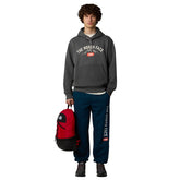The North Face Felpa Varsity Uomo Grigio | NonSoloSport