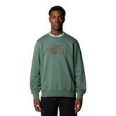 Felpa Uomo The North Face Drew Peak Light Verde | NonSoloSport