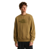 Felpa Uomo The North Face Drew Peak Light Regular Verde | NonSoloSport