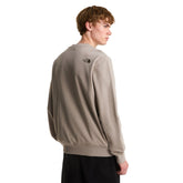 Felpa Uomo The North Face Drew Peak Light Grigio | NonSoloSport