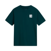 T-Shirt Uomo The North Face Evolution Box Half Dome Regular Verde | NonSoloSport