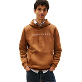 Felpa Uomo Tommy Jeans Linear Logo Marrone | NonSoloSport