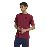 T-Shirt Uomo Adidas Arsenal FC DNA Bordeaux | NonSoloSport