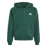 Felpa Ragazzo Adidas Seasonals Collegiate Typography Verde | NonSoloSport