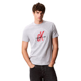 T-Shirt Uomo Calvin Klein Circle Graphic Grigio | NonSoloSport