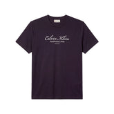 T-Shirt Uomo Calvin Klein Logo Scritta Blu | NonSoloSport