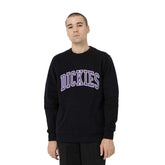 Felpa Uomo Dickies Fleece Aitkin Uomo Nero | NonSoloSport