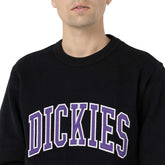 Felpa Uomo Dickies Fleece Aitkin Uomo Nero | NonSoloSport