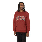Dickies Felpa Aitkin Uomo Rosso | NonSoloSport