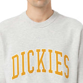 Felpa Uomo Dickies Fleece Aitkin Grigio | NonSoloSport