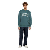 Felpa Uomo Dickies Aitkin Verde Petrolio | NonSoloSport